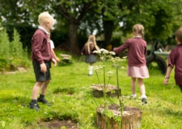 Forest School