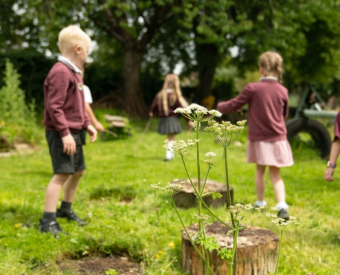 Forest School